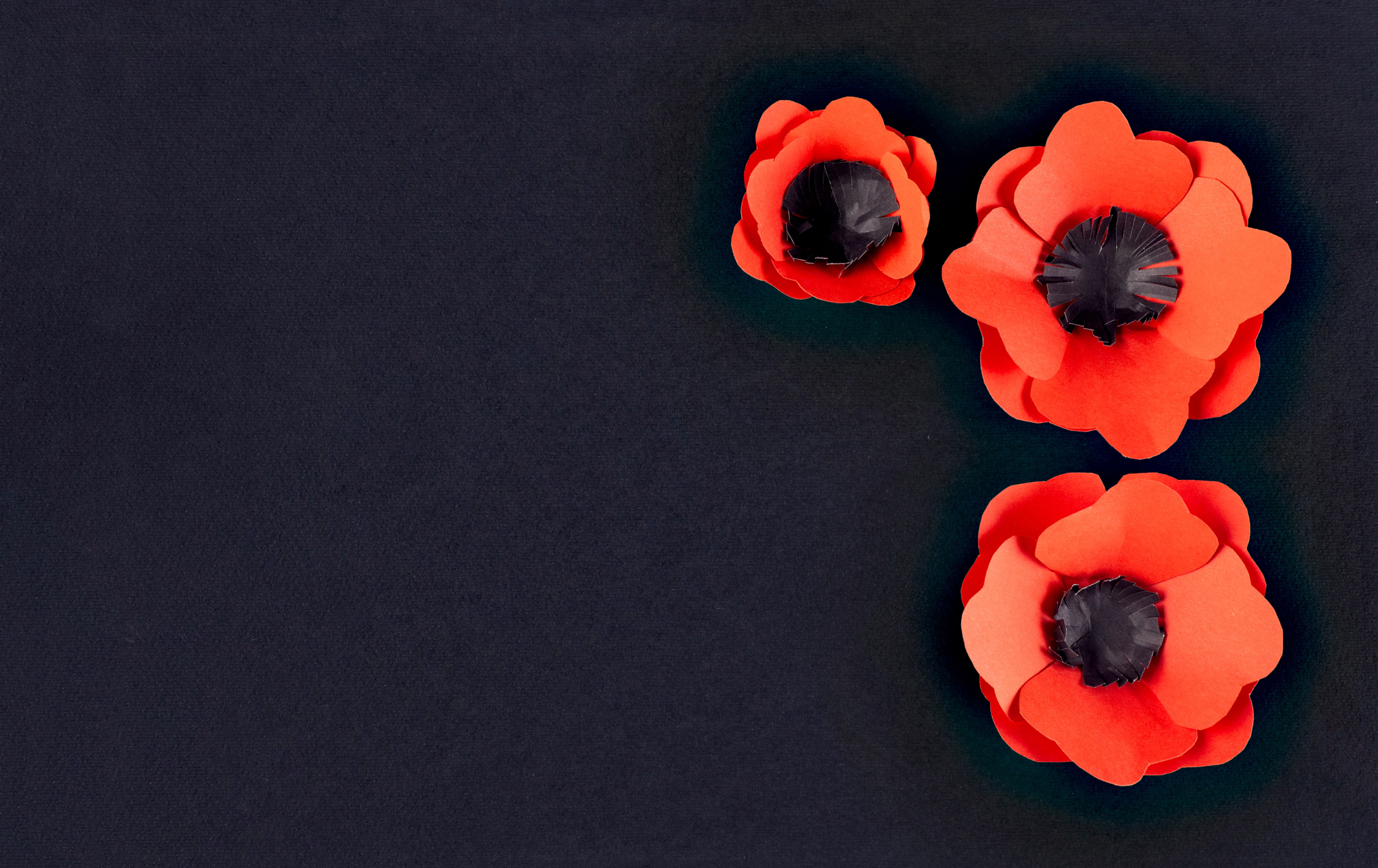 Header background