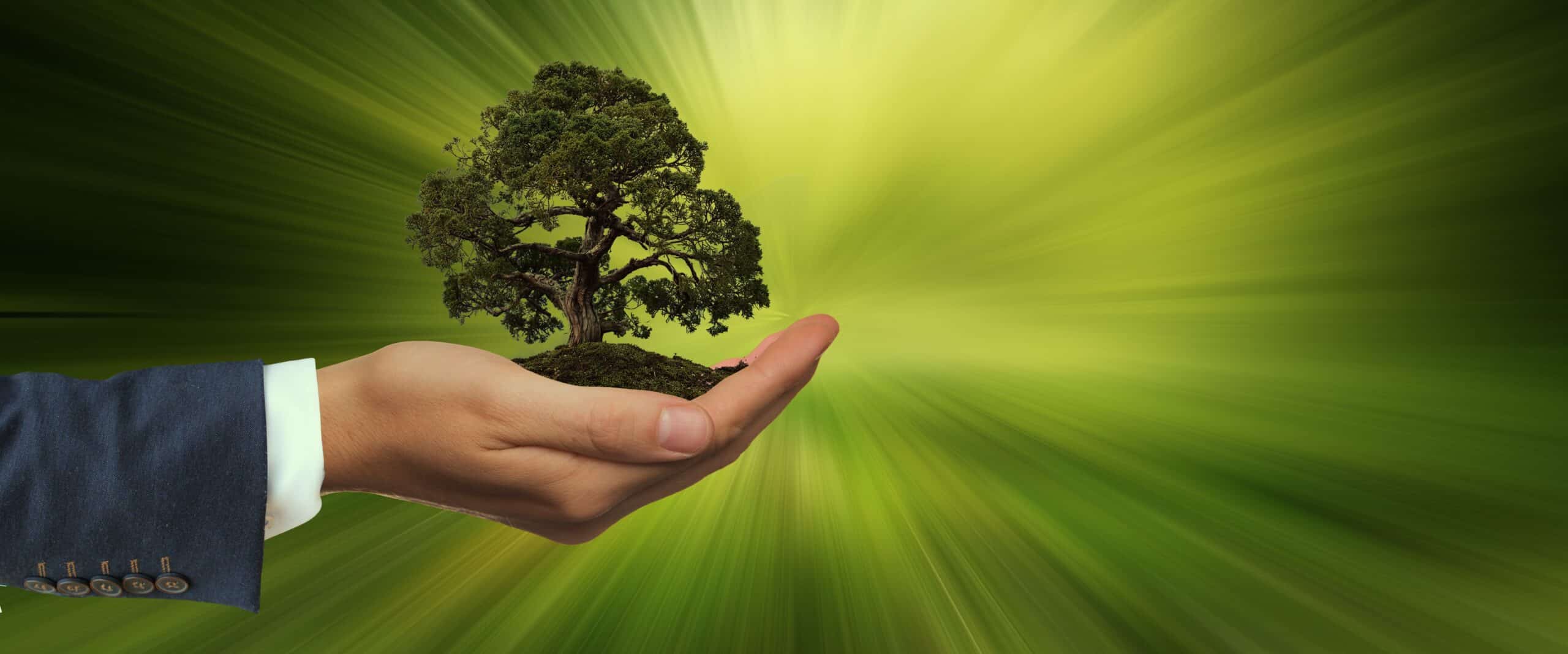 58th AQTr Convention: On the Road to Carbon Neutrality