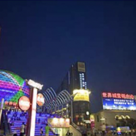Revision of Wuhan Rail Transit Network Planning