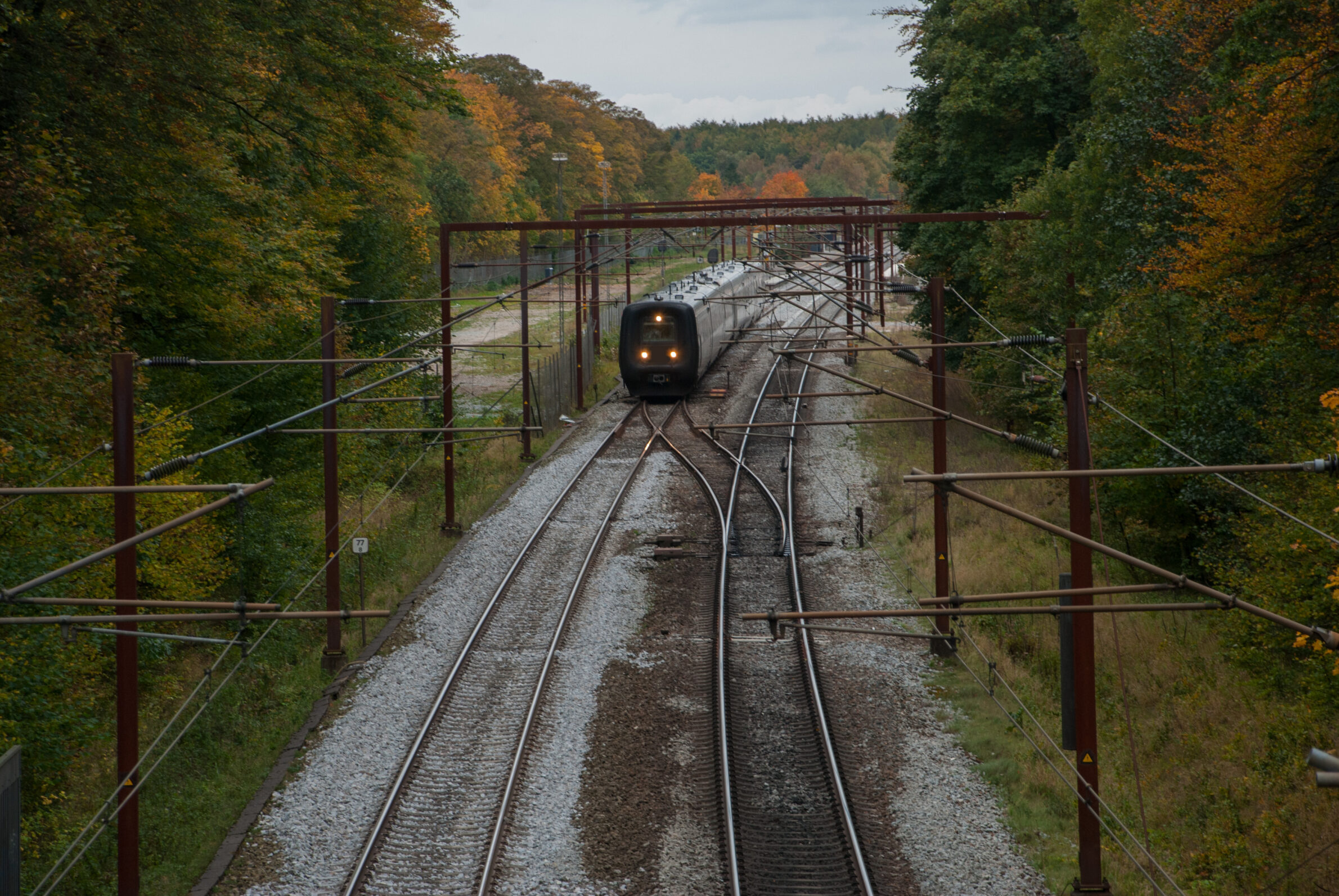 Header background