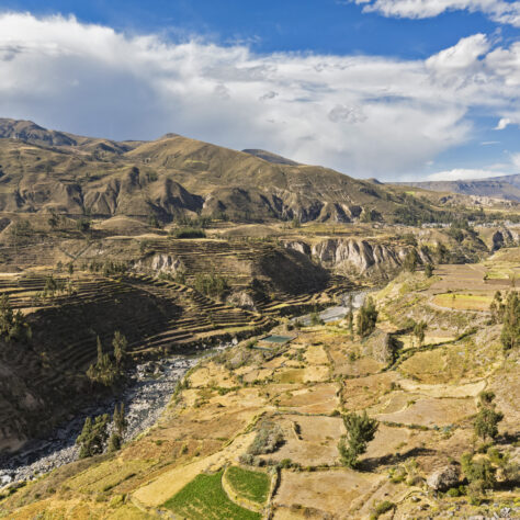 Ingeniería de detalle de los túneles del proyecto de irrigación Majes Siguas – Perú