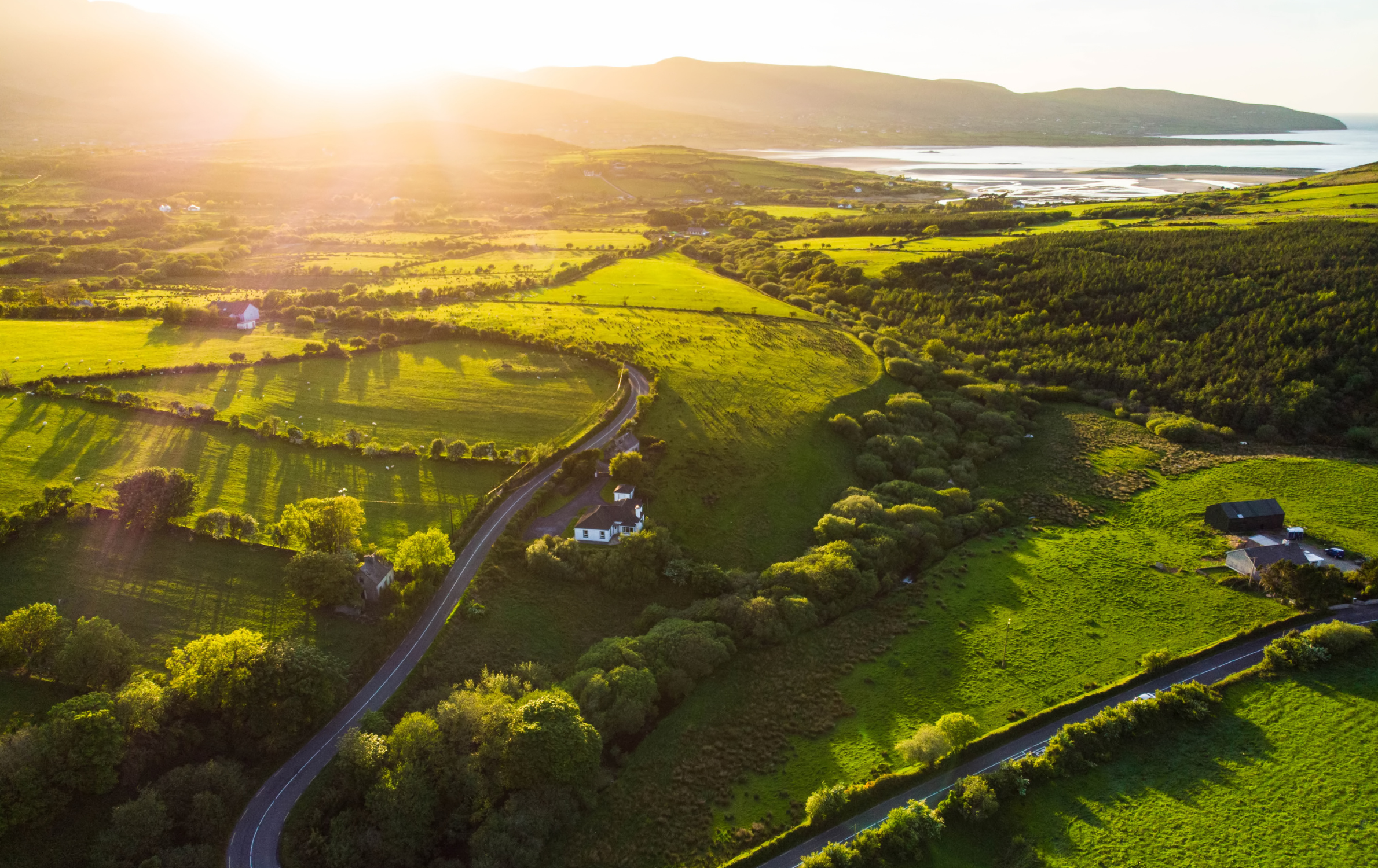 A winding road runs through green luscious countryside in Ireland. There is a white house in the middle of the image and the photo is taken from above. The sun is shining and in the background you can see hills, the coastline and a beach area.