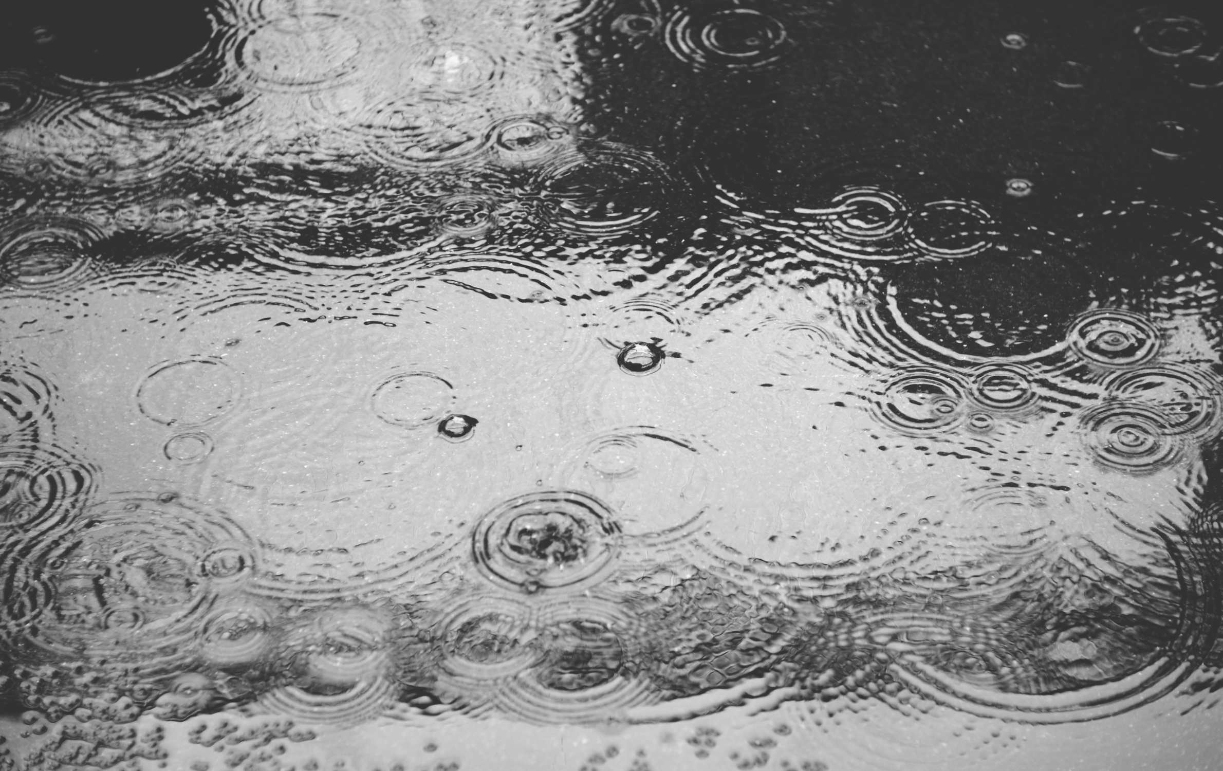 Header background