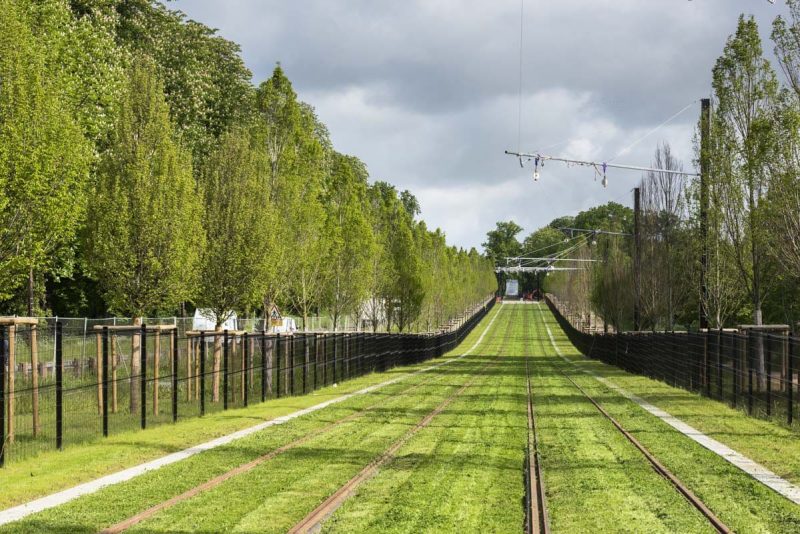 Header background mobile