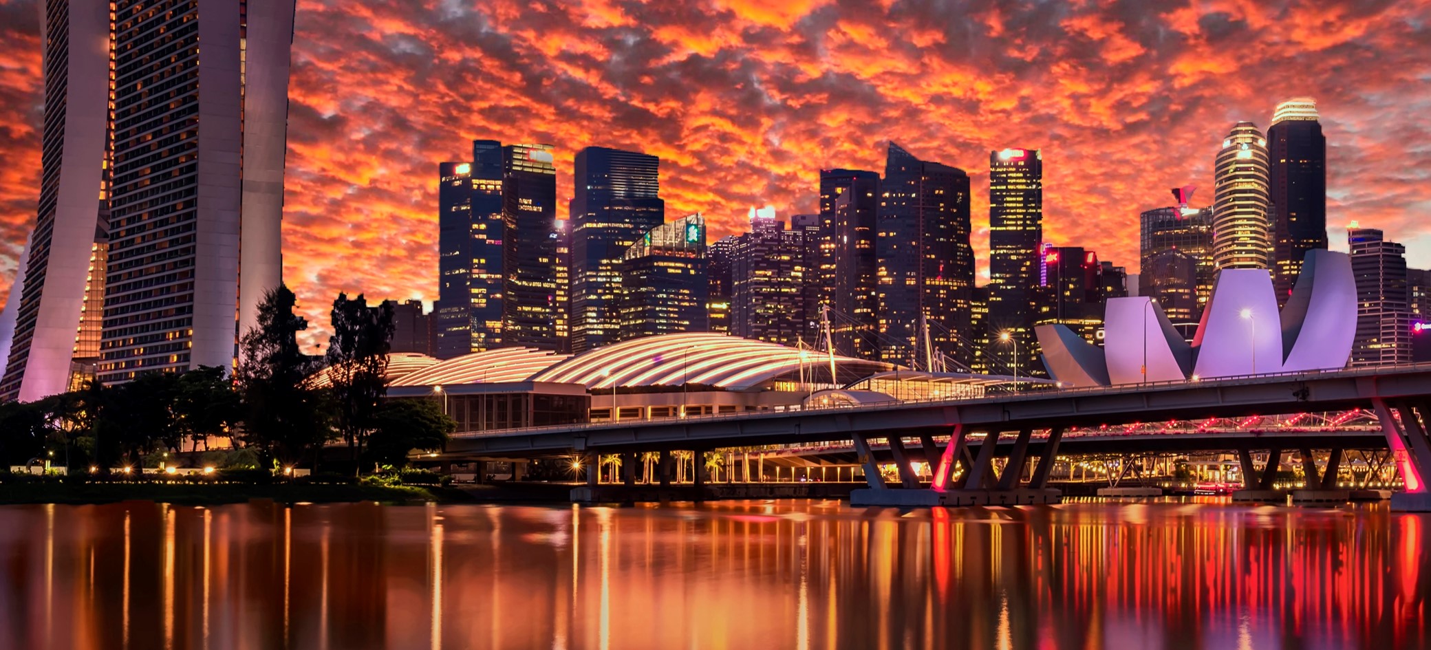 Header background