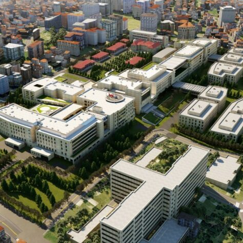 Çapa & CerrahpaşaIstanbul University – İstanbul