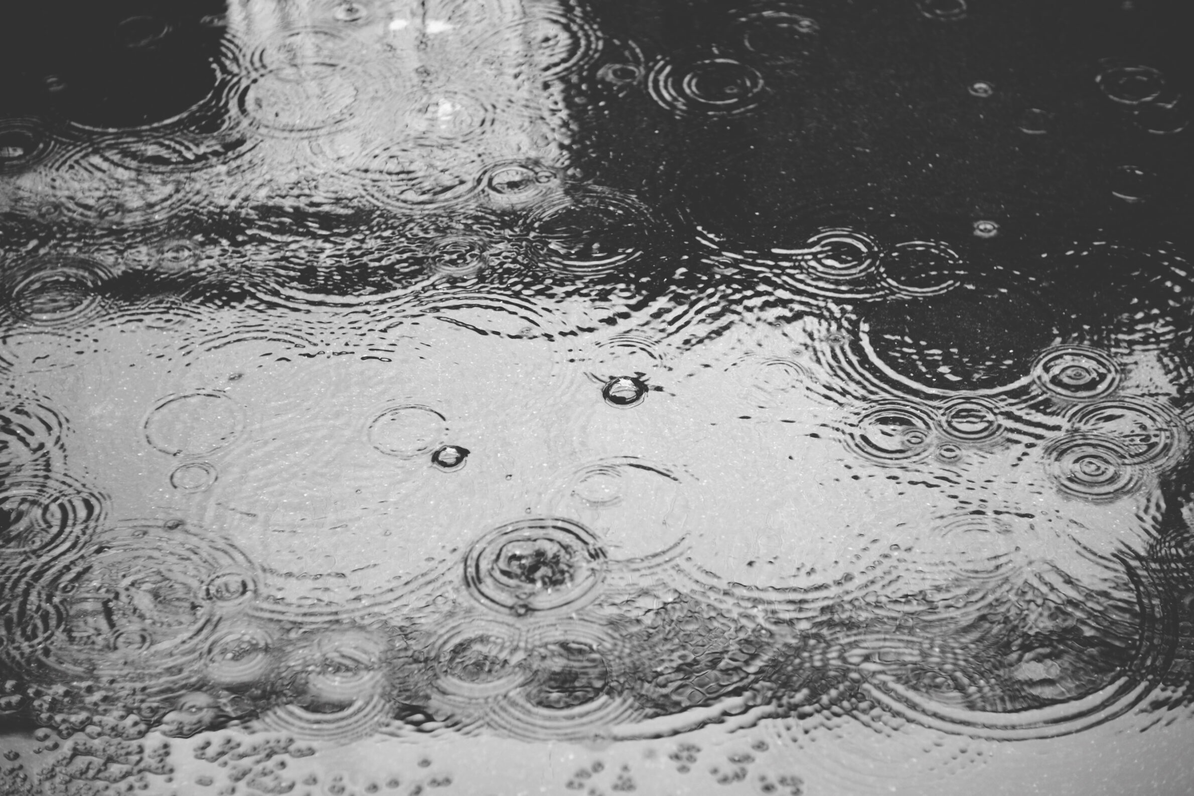 Header background