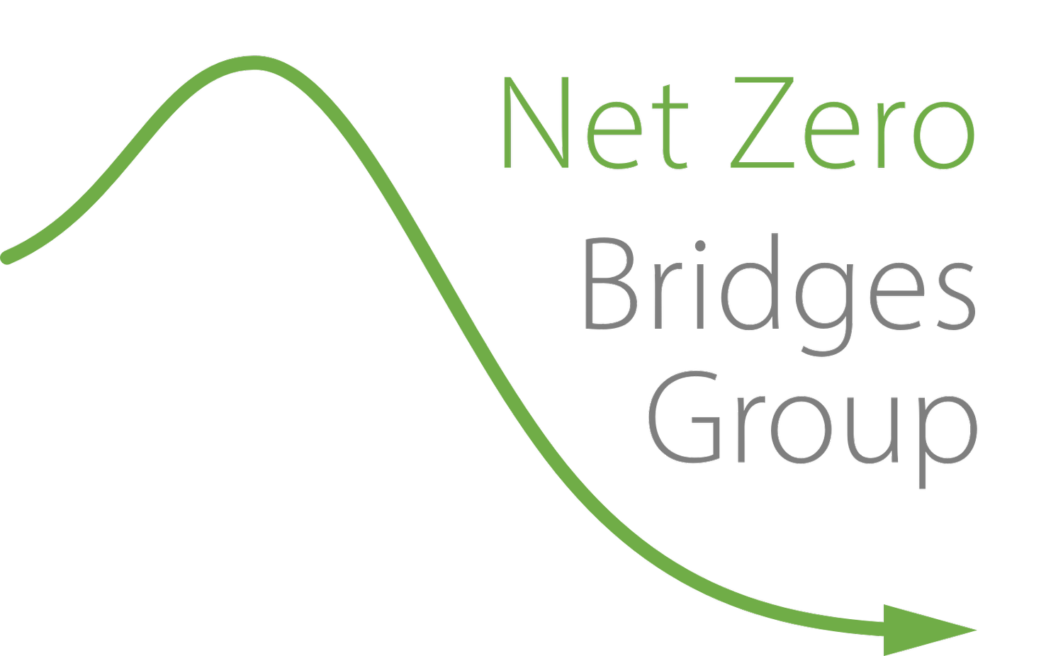 NET zero bridges group logo