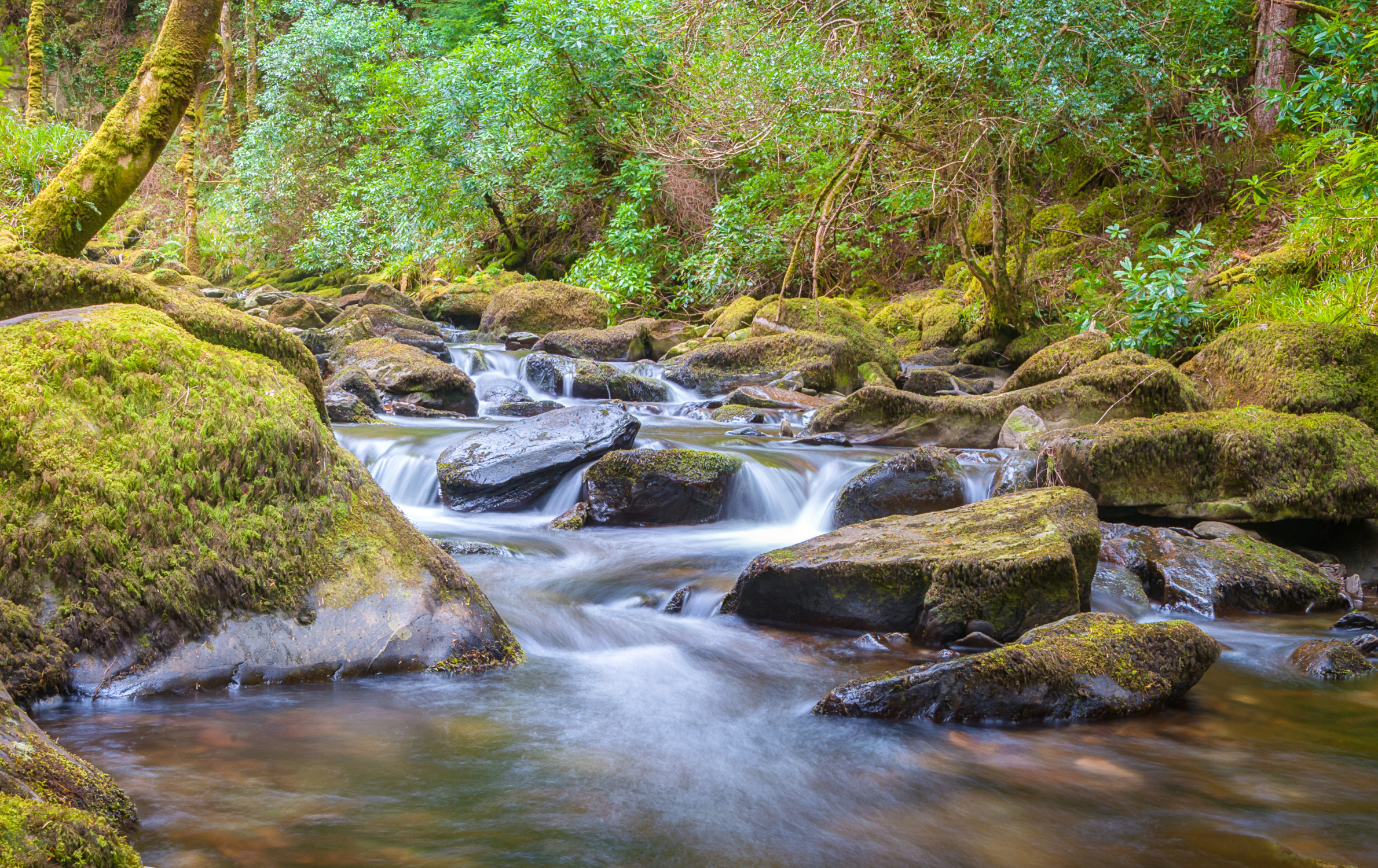 SYSTRA’s water resources and climate resilience experts gain a hat-trick of CIWEM accolades